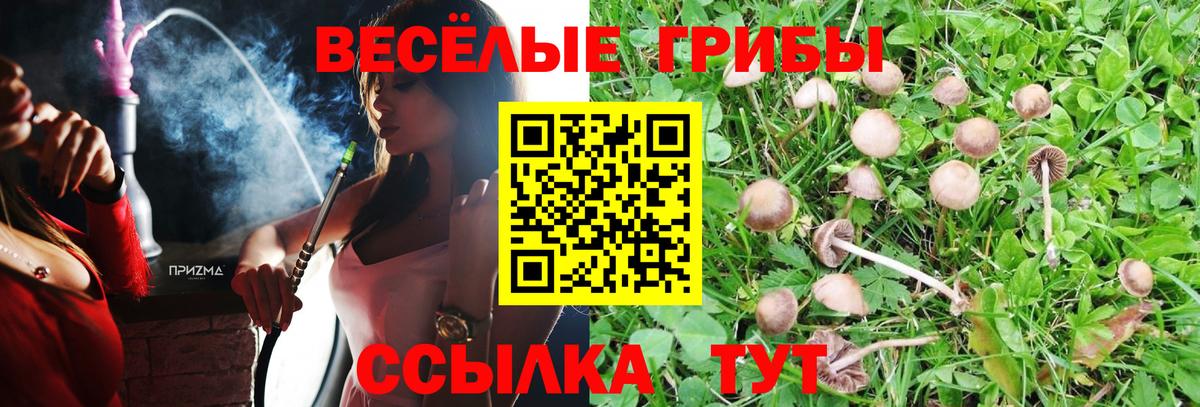 Галлюциногенные грибы GOLDEN TEACHER Зима