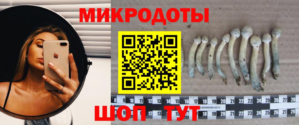 Псилоцибиновые грибы ЛСД  Псилоцибиновые грибы Psilocybe  Зима  купить закладку  Вход с VPN 