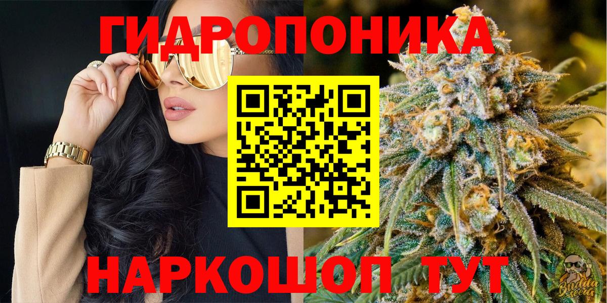 Зима  Канабис AK-47  Вход с VPN  МАРИХУАНА планчик  Бошки марихуана планчик  МАРИХУАНА OG Kush 