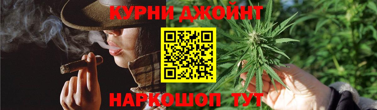 APVP Зима